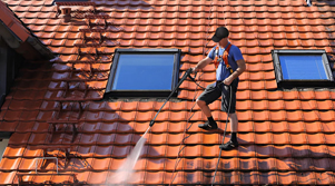 Window Roof Cleaning